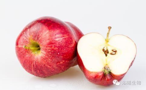 吃什么水果减肥效果好呢